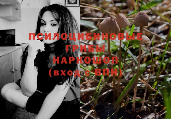 стафф Бронницы
