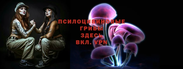 стафф Бронницы