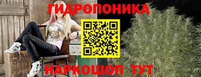 мяу мяу мука Комсомольск-на-Амуре