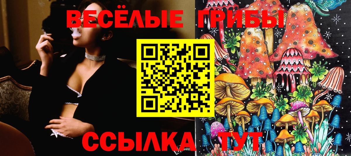 Валуйки  Псилоцибиновые грибы Psilocybine cubensis  Вход с VPN  Галлюциногенные грибы Psilocybine cubensis 